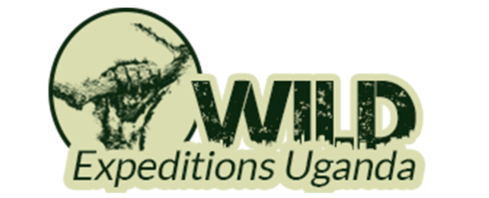 Wild Expeditions Uganda